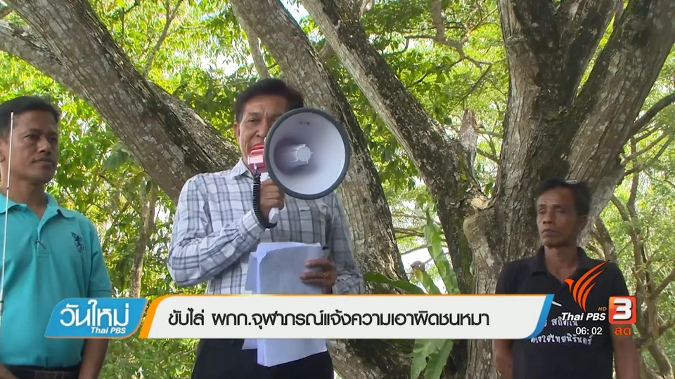 ขับไล่ผกก.จุฬาภรณ์แจ้งความเอาผิดชนหมา