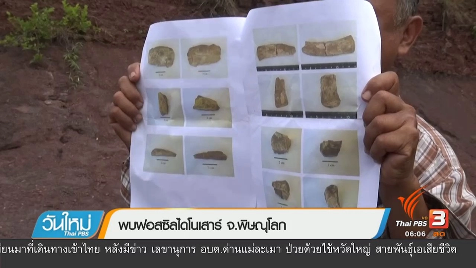 พบฟอสซิลไดโนเสาร์ จ.พิษณุโลก