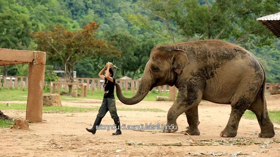 ด้วยใจที่แบ่งปัน (คุณเล็ก แสงเดือน )