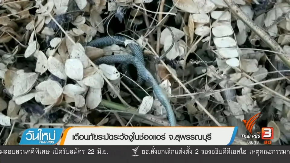 เตือนภัยระมัดระวังงูในช่องแอร์ จ.สุพรรณบุรี