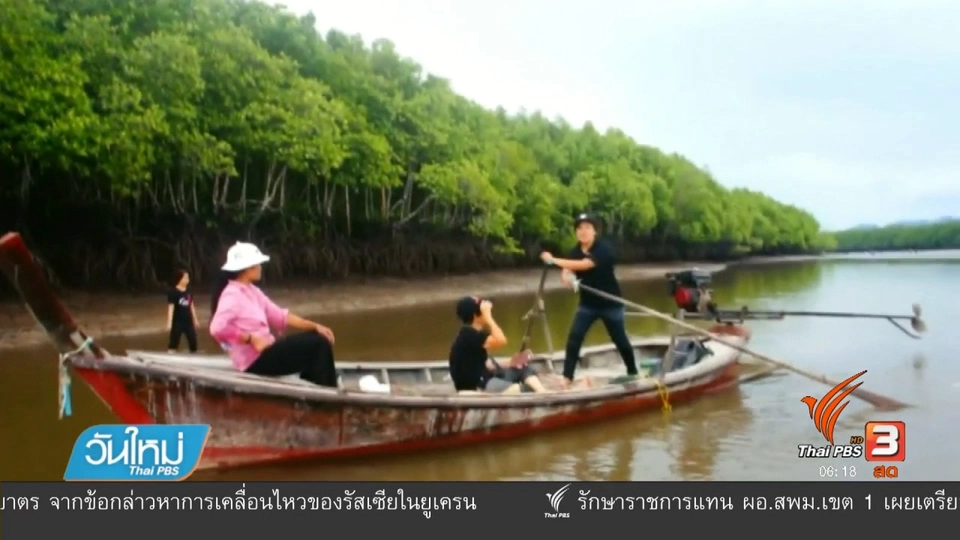 ชาวปกาสัยเก็บหอยสร้างรายได้