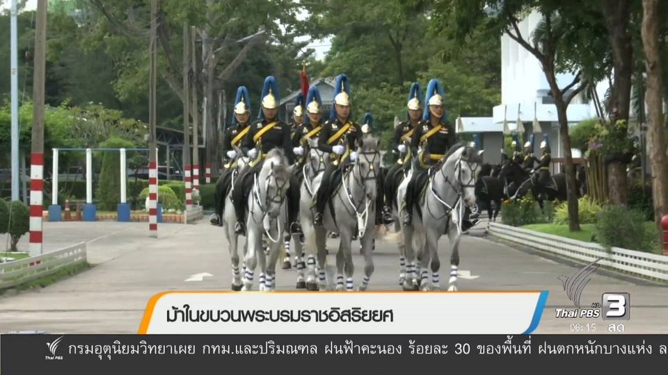 ม้าในขบวนพระบรมราชอิสริยยศ