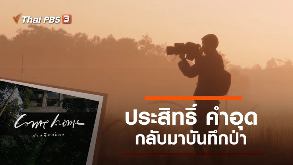 ประสิทธิ์ คำอุด : กลับมาบันทึกป่า