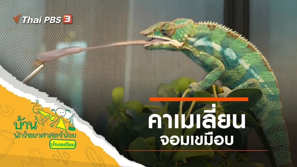 คาเมเลี่ยนจอมเขมือบ