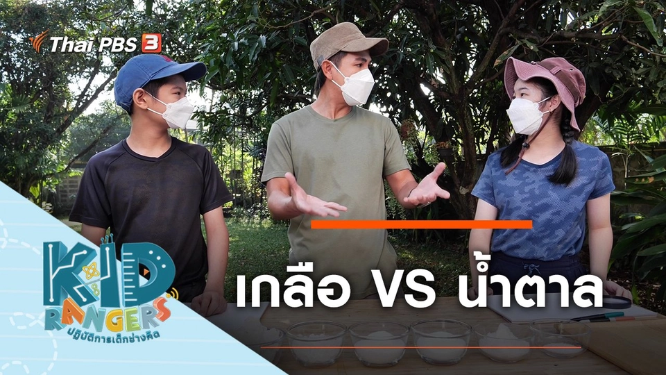 เกลือ VS น้ำตาล