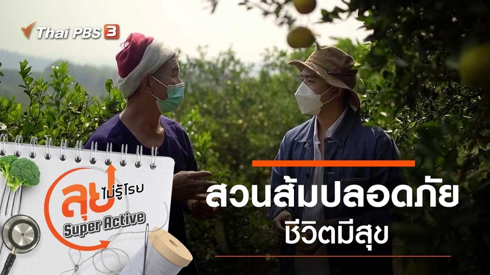 สวนส้มปลอดภัย ชีวิตมีสุข