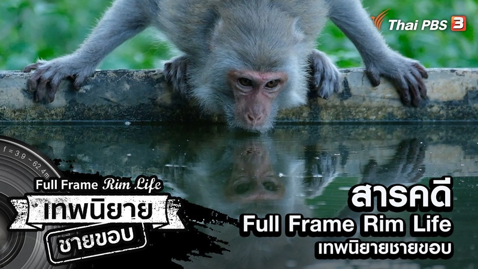 สารคดี Full Frame Rim Life เทพนิยายชายขอบ