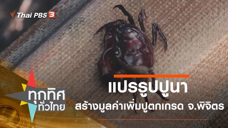 แปรรูปปูนา สร้างมูลค่าเพิ่มปูตกเกรด จ.พิจิตร