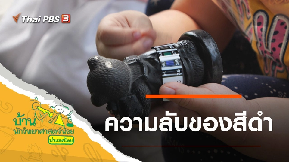 ความลับของสีดำ