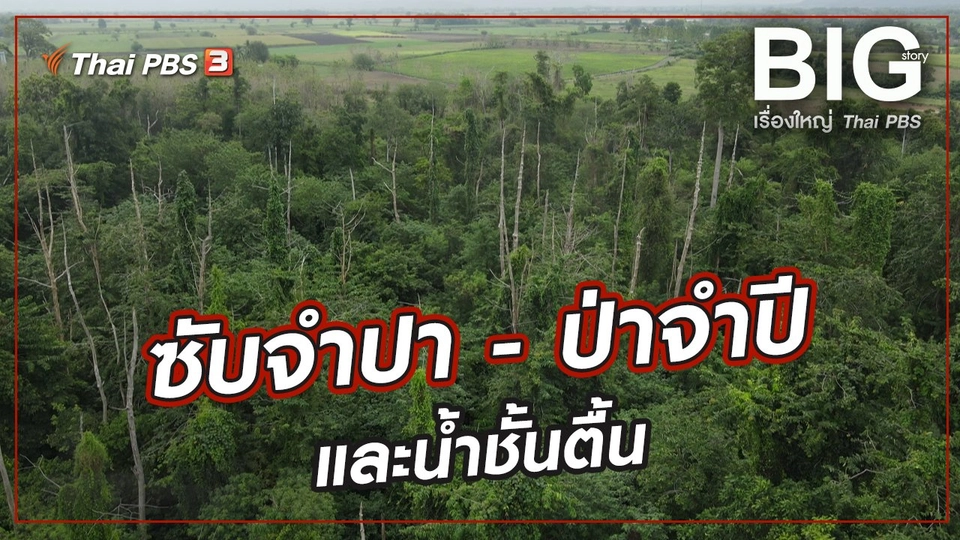 ซับจำปา - ป่าจำปี และน้ำชั้นตื้น