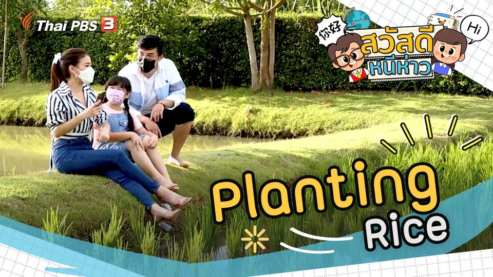 Planting Rice