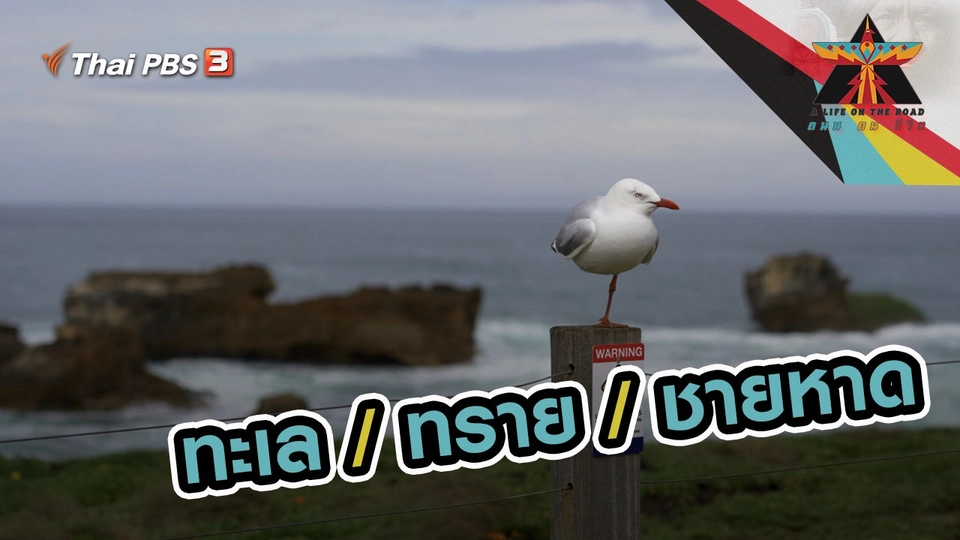 ทะเล / ทราย / ชายหาด