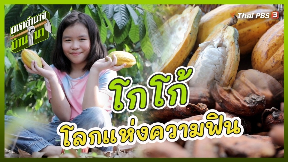 โกโก้ โลกแห่งความฟิน