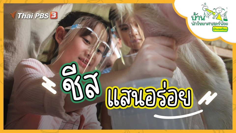 ชีสแสนอร่อย