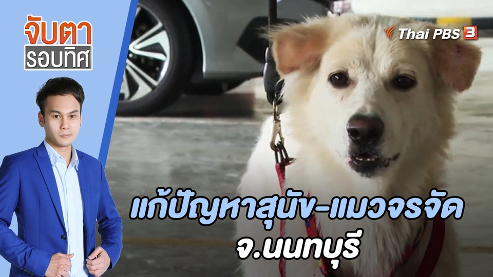 แก้ปัญหาสุนัข-แมวจรจัด จ.นนทบุรี | จับตารอบทิศ | 20 เม.ย. 65