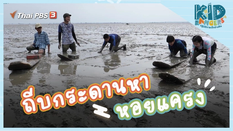 ถีบกระดานหาหอยแครง