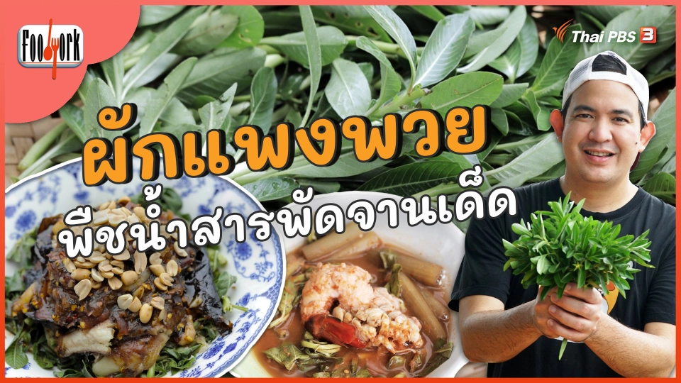 ผักแพงพวย พืชน้ำสารพัดจานเด็ด ณ คลองรางจระเข้
