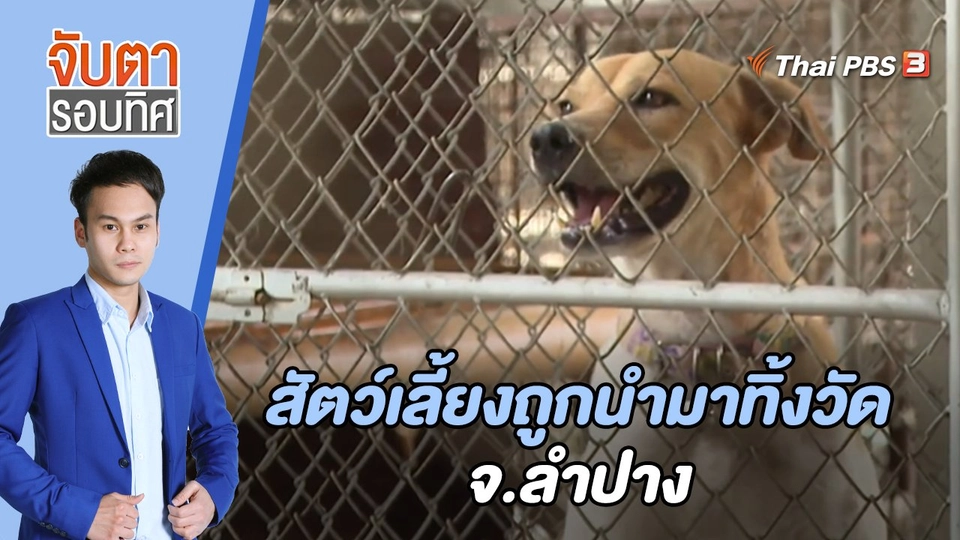 ผลกระทบโควิด-19 สัตว์เลี้ยงถูกนำมาทิ้งวัด จ.ลำปาง | จับตารอบทิศ | 28 เม.ย. 65