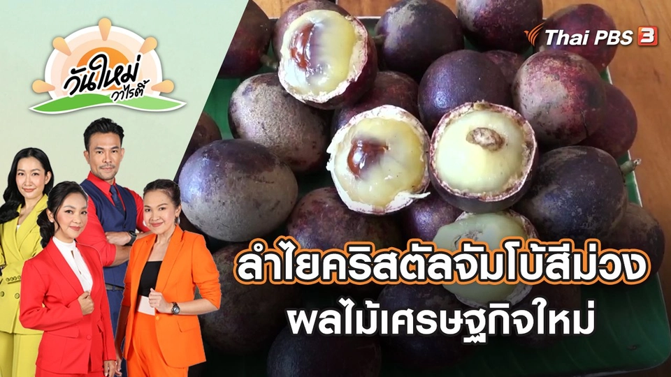 ลำไยคริสตัลจัมโบ้สีม่วง ผลไม้เศรษฐกิจใหม่ | วันใหม่วาไรตี้ | 5 พ.ค. 65
