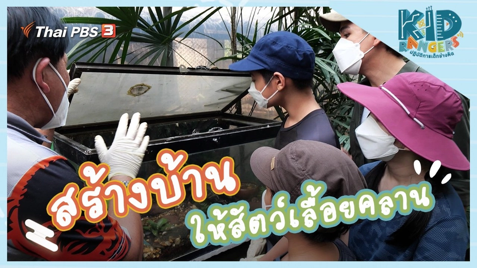 สร้างบ้านให้สัตว์เลื้อยคลาน