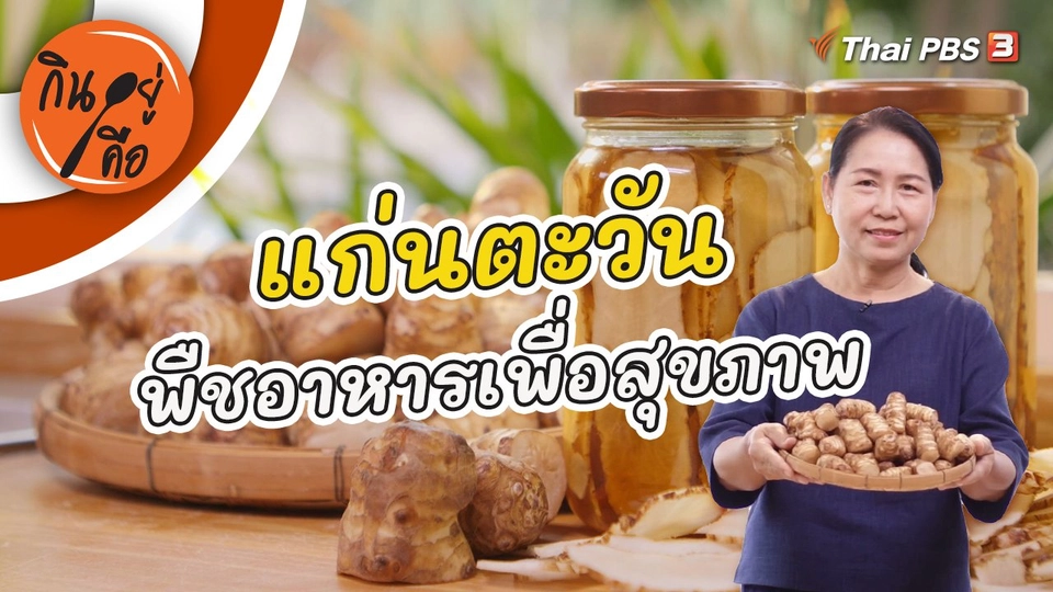 แก่นตะวันพืชอาหารเพื่อสุขภาพ