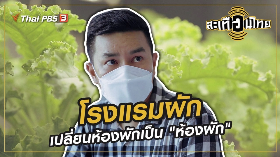 โรงแรมผัก