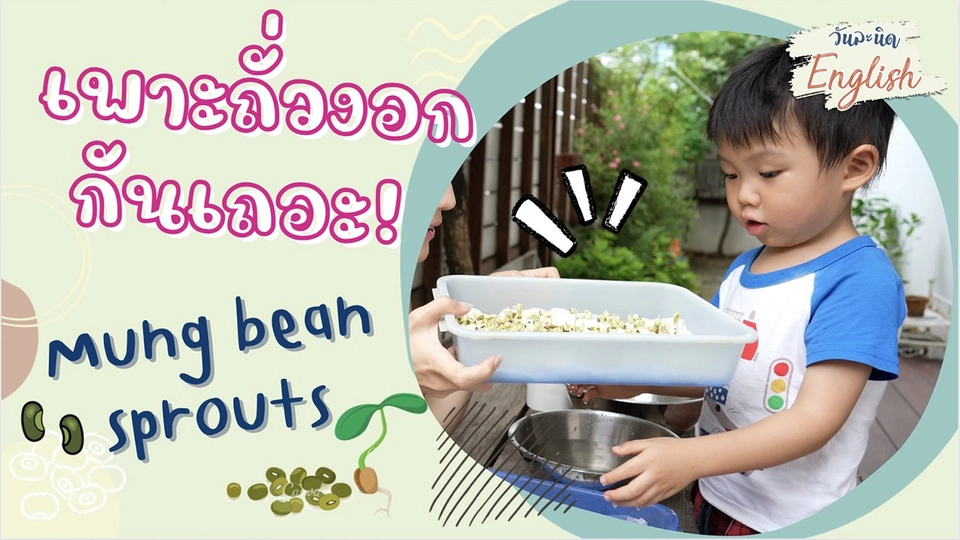 วันละนิด English - มาเพาะถั่วงอกกันเถอะ