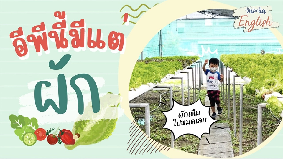 วันละนิด English -  อีพีนี้มีแต่ ‘ผัก’ !