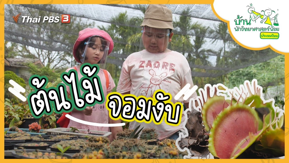 ต้นไม้จอมงับ