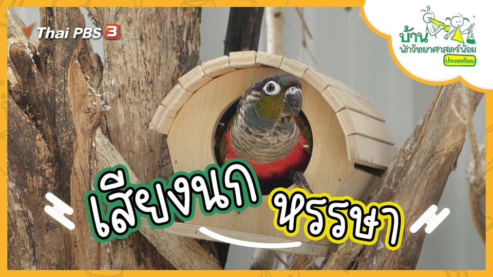 เสียงนกหรรษา