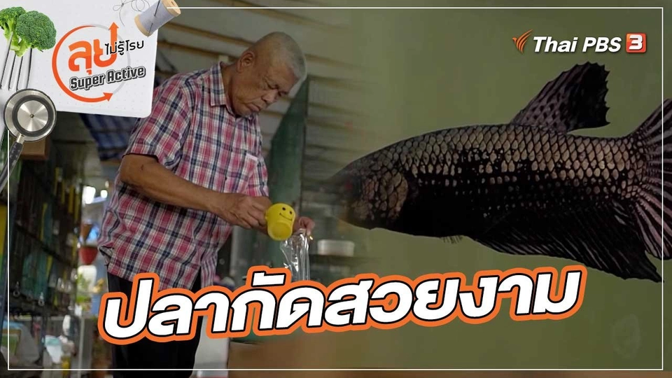 ปลากัดสวยงาม