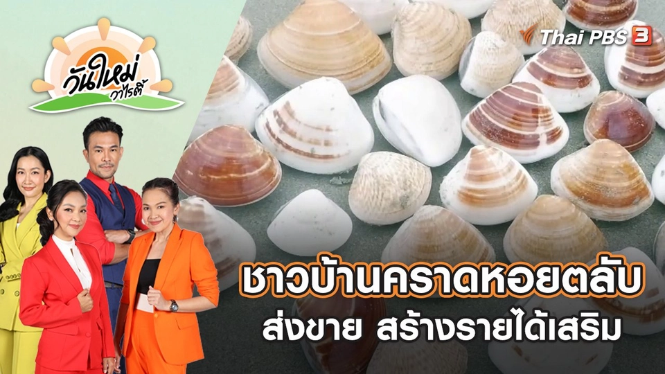 ชาวบ้านคราดหอยตลับส่งขาย สร้างรายได้เสริม | วันใหม่วาไรตี้ | 9 มิ.ย. 65