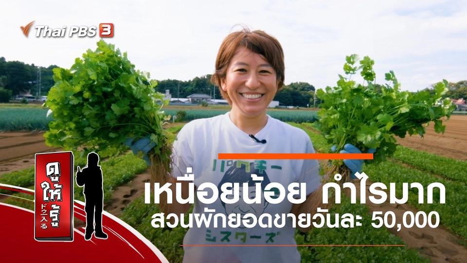 เหนื่อยน้อย กำไรมาก สวนผักยอดขายวันละ 50,000
