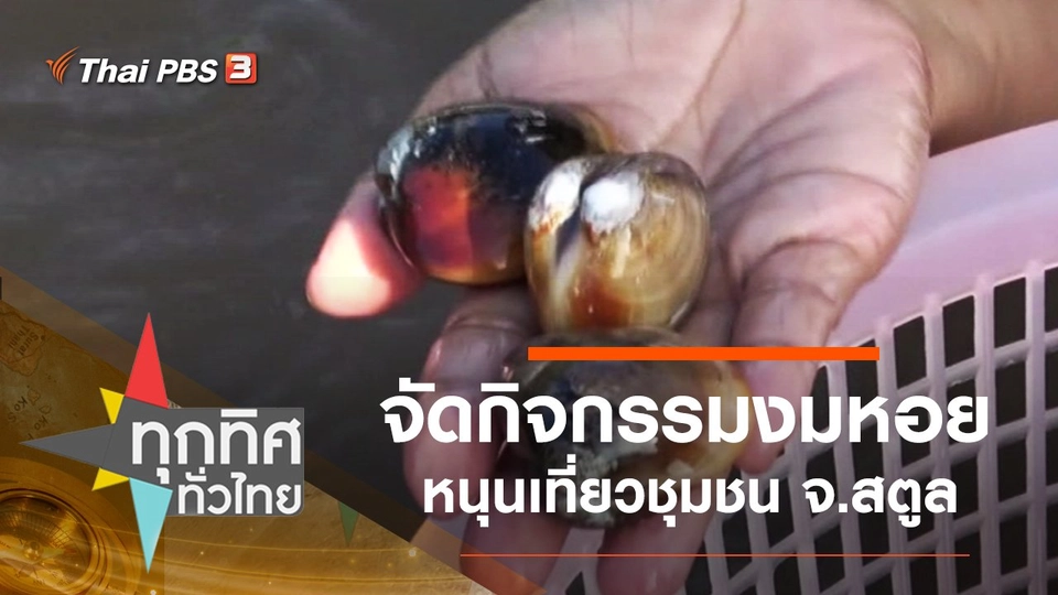 จัดกิจกรรมงมหอยหนุนเที่ยวชุมชน จ.สตูล