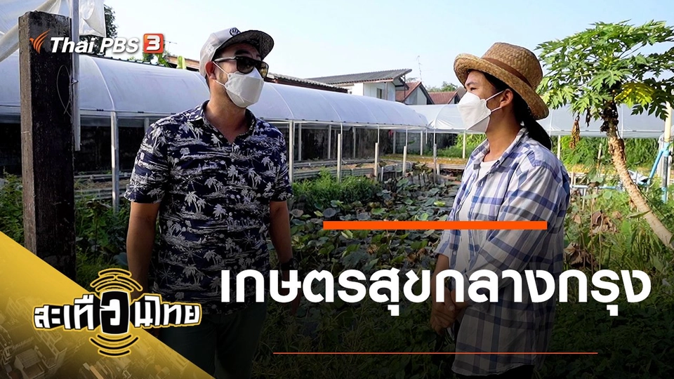 เกษตรสุขกลางกรุง