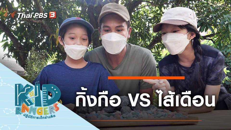 กิ้งกือ VS ไส้เดือน