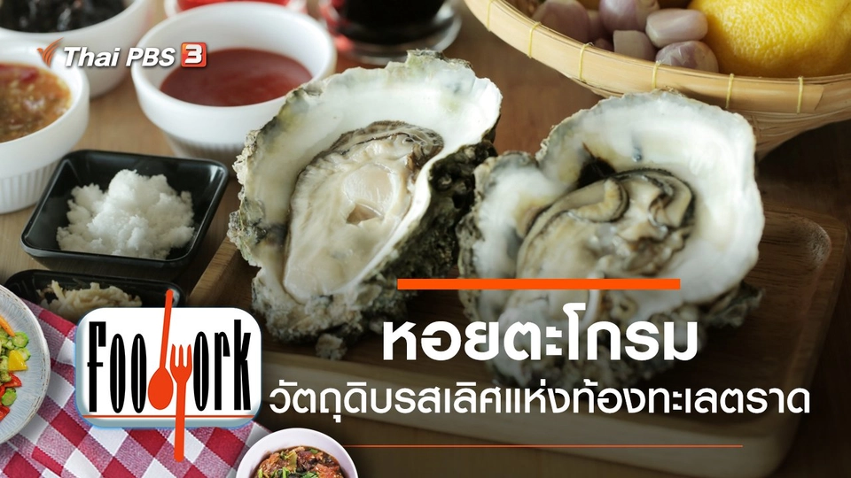 หอยตะโกรม วัตถุดิบรสเลิศแห่งท้องทะเลตราด