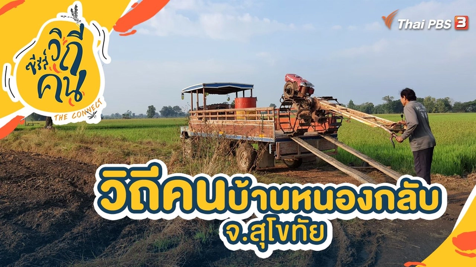 วิถีคนหนองกลับ ต.หนองกลับ อ.สวรรคโลก จ.สุโขทัย