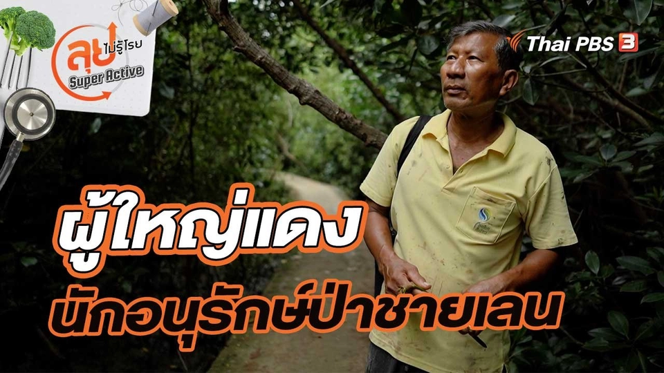 ผู้ใหญ่แดง นักอนุรักษ์ป่าชายเลน