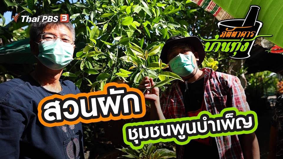 สวนผักชุมชนพูนบำเพ็ญ