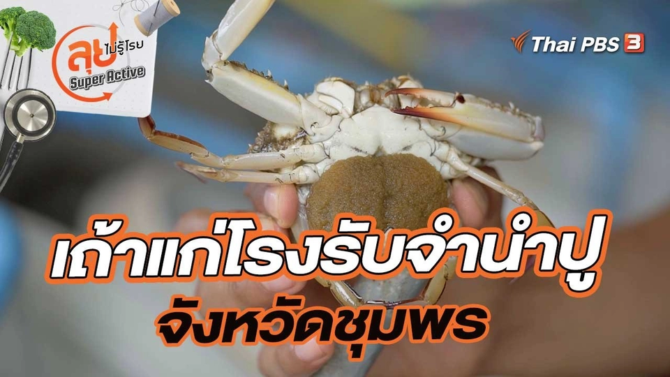 เถ้าแก่โรงรับจำนำปู จังหวัดชุมพร