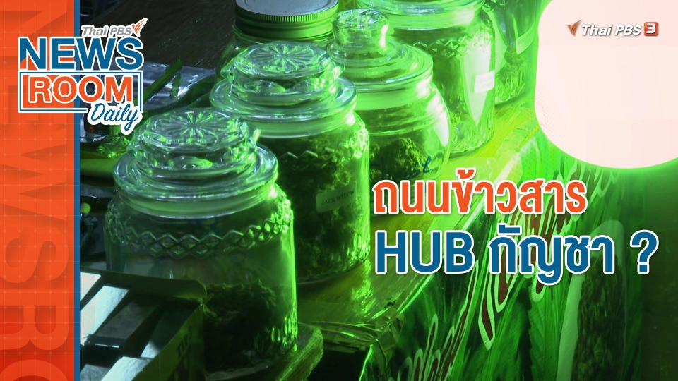 ถนนข้าวสาร HUB กัญชา