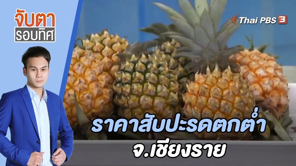 ราคาสับปะรดตกต่ำ จ.เชียงราย | จับตารอบทิศ | 29 มิ.ย. 65