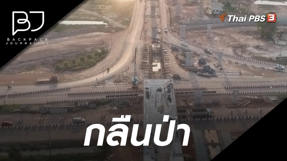 กลืนป่า