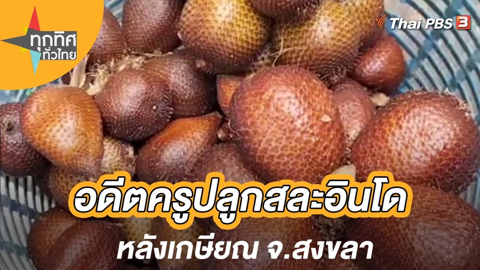 อดีตครูปลูกสละอินโดหลังเกษียณ จ.สงขลา