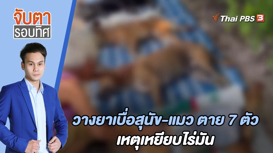 วางยาเบื่อสุนัข-แมว ตาย 7 ตัว เหตุเหยียบไร่มัน | จับตารอบทิศ | 6 ก.ค. 65