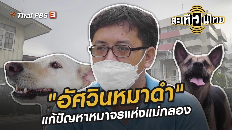 "อัศวินหมาดำ" คนธรรมดาที่แก้ปัญหาหมาจรแห่งแม่กลอง