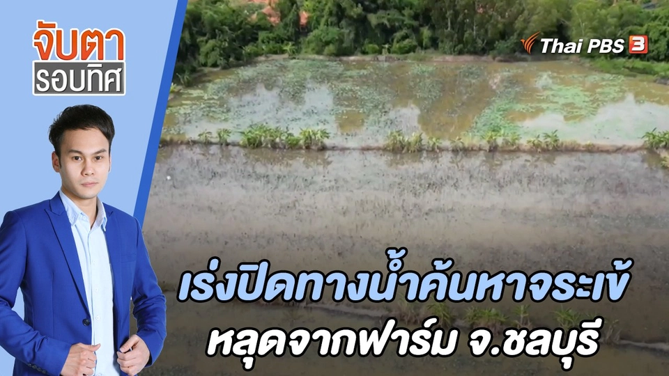 เร่งปิดทางน้ำค้นหาจระเข้หลุดจากฟาร์ม จ.ชลบุรี | จับตารอบทิศ | 7 ก.ค. 65