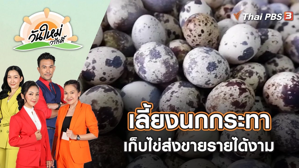 เลี้ยงนกกระทาเก็บไข่ส่งขายรายได้งาม | วันใหม่วาไรตี้ | 7 ก.ค. 65