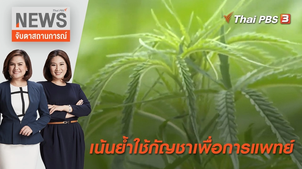 เน้นย้ำใช้กัญชาเพื่อการแพทย์ | จับตาสถานการณ์ | 14 มิ.ย. 65